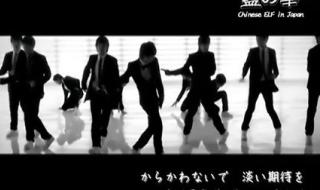 sorrysorrymv高清