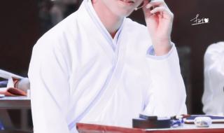 步步高家教机tfboys