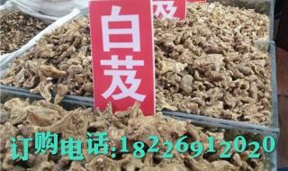 三七粉哪个厂家好