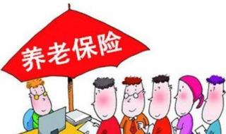 养老保险缴纳比例
