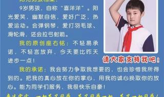 十佳少先队员事迹简介