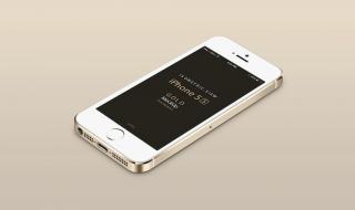 iphone5s土豪金价格